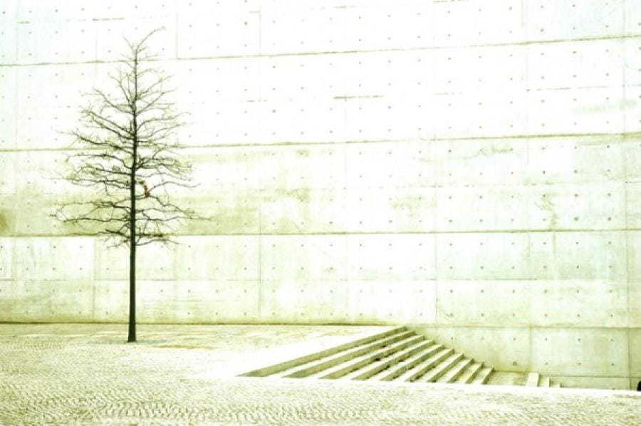 Kunst: wintertree, 2005 van kunstenaar Elke Hesselink